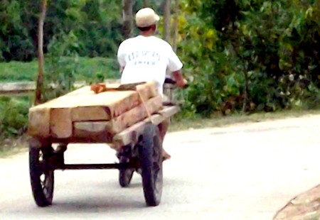 Man transporting illegal timber in daytime (Photo: SGGP) Man transporting illegal timber in daytime (Photo: SGGP)