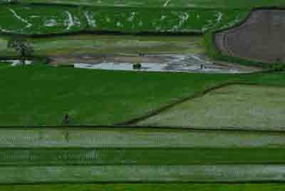 A paddy field in the Mekong delta province of An Giang (Photo: Kim Chi) A paddy field in the Mekong delta province of An Giang (Photo: Kim Chi)