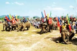 The Buon Ma Thuot-Dak Lak tourism week 2009 aims to honor elephants- the most important animal to the Highland people. The Buon Ma Thuot-Dak Lak tourism week 2009 aims to honor elephants- the most important animal to the Highland people.