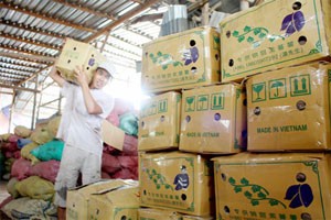 A man carries a sweet potato parcel with Chinese labels in a warehouse in Vinh Long Province A man carries a sweet potato parcel with Chinese labels in a warehouse in Vinh Long Province