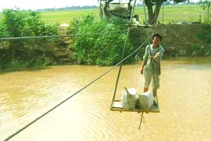 Farmers invent cable canal transport system ảnh 1 Farmers invent cable canal transport system ảnh 1