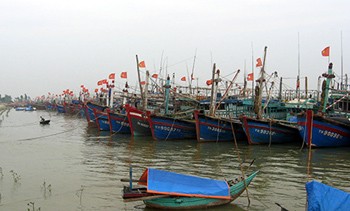 Boats docked in a shelter in Thanh Hoa Province, await ‘Nock-Ten’ typhoon to pass (Photo: Laodong) Boats docked in a shelter in Thanh Hoa Province, await ‘Nock-Ten’ typhoon to pass (Photo: Laodong)