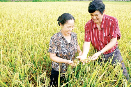 “Lật mặt” đồng bằng sông Hồng để khai thác than? - Chưa chấp thuận, Tập đoàn Công nghiệp than và khoáng sản Việt Nam vẫn thăm dò