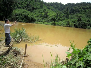 Rare flora and fauna will face extinction once the Dong Nai hydropower plants are constructed (Photo: SGGP) Rare flora and fauna will face extinction once the Dong Nai hydropower plants are constructed (Photo: SGGP)