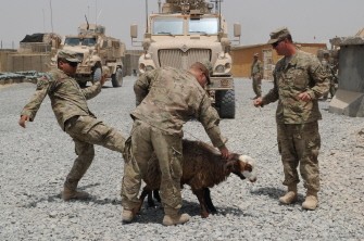 US soldiers from the 1st Battalion , 32nd Infantry Regiment, 3rd Brigade Combat Team delivers two sheep at Combat Outpost Sangsar in Afghanistan's southern Kandahar province on August 10, 2011. US soldiers from the 1st Battalion , 32nd Infantry Regiment, 3rd Brigade Combat Team delivers two sheep at Combat Outpost Sangsar in Afghanistan's southern Kandahar province on August 10, 2011.