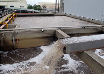 Wastewater is first treated at a company plant before release into Sonadezi treatment plant (Photo: SGGP) Wastewater is first treated at a company plant before release into Sonadezi treatment plant (Photo: SGGP)