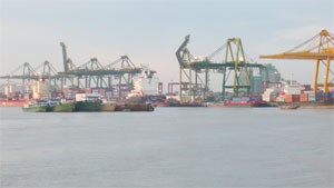 Container boats at a port in Vung Tau. Some container boat owners say now they have to choose towing service from the firms favored by local port authorities (Photo: Phan Hien) Container boats at a port in Vung Tau. Some container boat owners say now they have to choose towing service from the firms favored by local port authorities (Photo: Phan Hien)