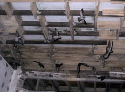 The Yen Viet Trading & Service Co raises swifts. Vietnam has good potential for farming the edible lining of nests made by swifts. (Photo: Vietnam News) The Yen Viet Trading & Service Co raises swifts. Vietnam has good potential for farming the edible lining of nests made by swifts. (Photo: Vietnam News)