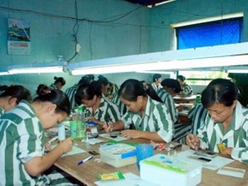 Prisoners works at Phu Son 4 Prison Prisoners works at Phu Son 4 Prison