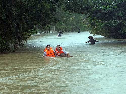 Rescue workers grapple to save a calf from being swept away (Photo: Thanh Nien) Rescue workers grapple to save a calf from being swept away (Photo: Thanh Nien)
