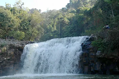 Đánh thức Măng Đen