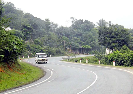 Làng Vây