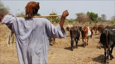 Xung đột sắc tộc tại Nam Sudan, 500 người chết