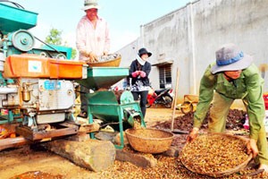 Having neglected to protect its leading coffee brand Buon Ma Thuot, the Central Highland province of Dak Lak will now have to fight for its rights back from a Chinese Company Having neglected to protect its leading coffee brand Buon Ma Thuot, the Central Highland province of Dak Lak will now have to fight for its rights back from a Chinese Company