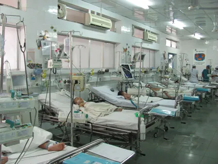 Làm rõ sự gia tăng bất thường của bệnh tay chân miệng
