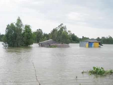 Đồng Tháp chống chọi lũ lớn