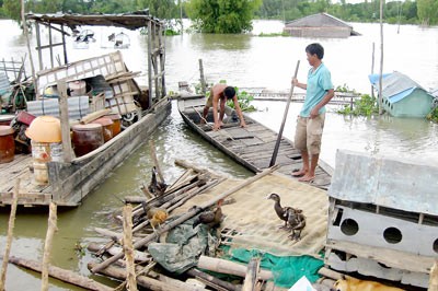 People moving belongings from flood ravaged homes in Tam Nong District of Dong Thap Province (Photo: SGGP) People moving belongings from flood ravaged homes in Tam Nong District of Dong Thap Province (Photo: SGGP)
