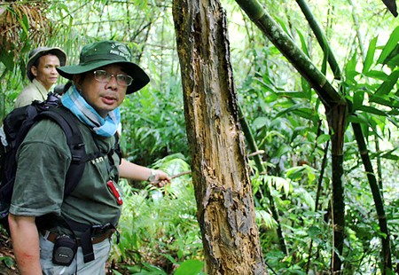 Scientists surveying the Cat Tien national park, where the hydro plants are expected to be built