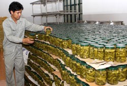 (Vietnam News file photo) A worker stacks jars of pickled gherkins at Ha An International JSC. (Vietnam News file photo) A worker stacks jars of pickled gherkins at Ha An International JSC.