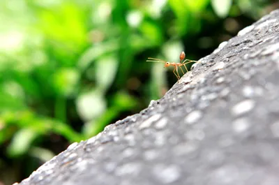 Tác giả: Lê Bá Hưng Tác giả: Lê Bá Hưng
