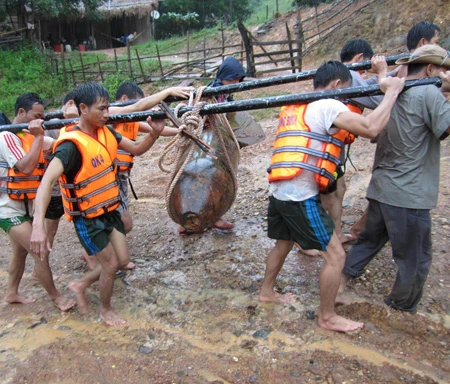 Quảng Bình: Phát hiện bom lớn ở vùng cao