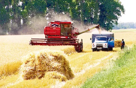 Bên cạnh phát triển công nghiệp, Nga vẫn chú trọng đầu tư cho nông nghiệp. Nga hiện là 1 trong 10 quốc gia xuất khẩu lúa mì lớn nhất thế giới. Bên cạnh phát triển công nghiệp, Nga vẫn chú trọng đầu tư cho nông nghiệp. Nga hiện là 1 trong 10 quốc gia xuất khẩu lúa mì lớn nhất thế giới.