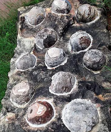 Trứng khủng long hóa thạch. (ảnh minh họa) Trứng khủng long hóa thạch. (ảnh minh họa)