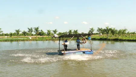 Tất cả quy trình nuôi cá đều phải đảm bảo tiêu chuẩn an toàn Tất cả quy trình nuôi cá đều phải đảm bảo tiêu chuẩn an toàn