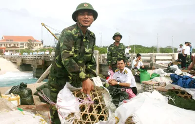 Chuyển tết ra Trường Sa