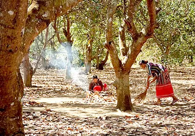 Khát vọng làm giàu