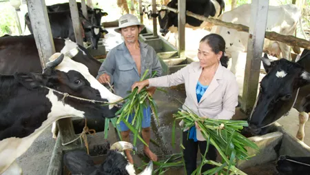 Hiện đại và phù hợp đặc trưng nông thôn TPHCM