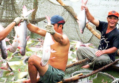 Agro-aqua export volumes set to increase in 2012 ảnh 1