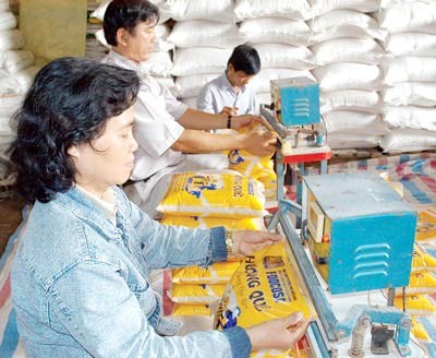 (File) Workers package rice for export at Foocosa Company (Photo: SGGP) (File) Workers package rice for export at Foocosa Company (Photo: SGGP)