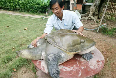 Anh Tân hy vọng sẽ sớm tìm được có chuyên gia có kinh nghiệm để chẩn đoán và điều trị bệnh cho con cua đinh của mình Anh Tân hy vọng sẽ sớm tìm được có chuyên gia có kinh nghiệm để chẩn đoán và điều trị bệnh cho con cua đinh của mình