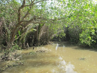 Ba Cheo Canal is heavily polluted with wastewater discharged from the Sonadezi Company reservoir (Photo: SGGP)
