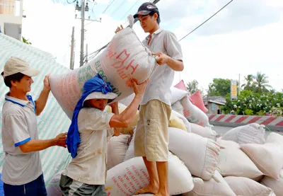 TP Hồ Chí Minh: Cảnh giác với bão lụt