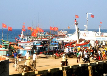 Fishing boats anchored at Ly Son Port in Quang Ngai Province (Photo: VnExpress) Fishing boats anchored at Ly Son Port in Quang Ngai Province (Photo: VnExpress)