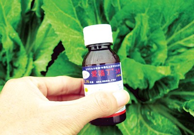 Farm produce in Vietnam follows no standard quality regulations (Photo: SGGP) Farm produce in Vietnam follows no standard quality regulations (Photo: SGGP)