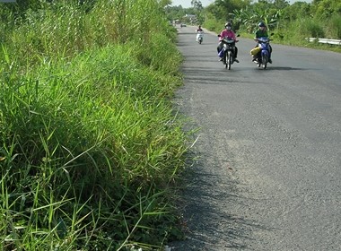 National Highway 91B cuts across land belonging to farmers in Can Tho City National Highway 91B cuts across land belonging to farmers in Can Tho City