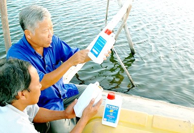 Shrimp breeders in the Mekong Delta suffer losses after using inappropriate chemicals to treat shrimp ponds (Photo: SGGP) Shrimp breeders in the Mekong Delta suffer losses after using inappropriate chemicals to treat shrimp ponds (Photo: SGGP)