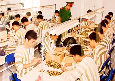 Lao động, dạy nghề trong trại giam - Nẻo về rộng mở