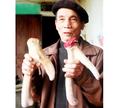 Hương Sơn - “Thiên đường” nghề nuôi hươu sao