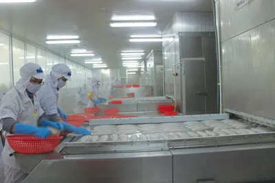 Một ngày tham quan Công ty CP Hùng Vương Châu Âu ảnh 2 Một ngày tham quan Công ty CP Hùng Vương Châu Âu ảnh 2