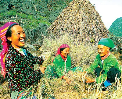 Hạnh phúc bình dị trên cao nguyên đá Đồng Văn. Hạnh phúc bình dị trên cao nguyên đá Đồng Văn.