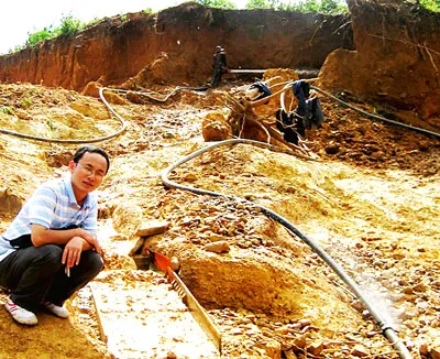 Băm nát rừng tìm vàng