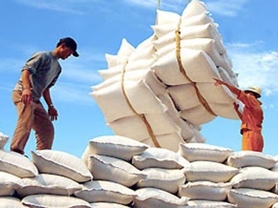 Loading rice for export in the Mekong Delta Loading rice for export in the Mekong Delta
