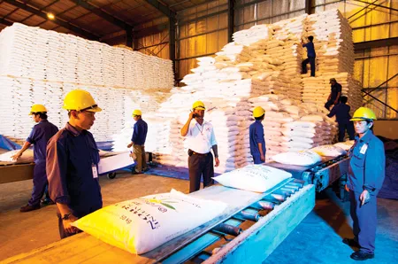 Bourbon Tây Ninh xuất chuyến hàng đường tinh luyện đầu tiên đến thị trường Singapore cho đối tác ED&FMan