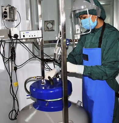 Stem cells storage facility in the MekoStem Bank (Photo: SGGP) Stem cells storage facility in the MekoStem Bank (Photo: SGGP)