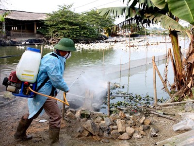 A health worker is sanitizing the environment in a farming households A health worker is sanitizing the environment in a farming households