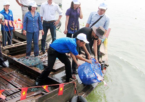 Mekong delta residents release artificially bred fish into the river for propagation (Photo: SGGP) Mekong delta residents release artificially bred fish into the river for propagation (Photo: SGGP)